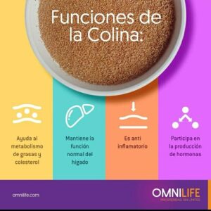 Lee más sobre el artículo Este nutriente es esencial para nutrir el cerebro y se encuentra en estos alimentos